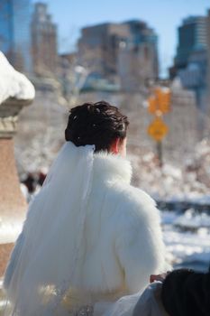 Winter bride Bride in the winter against the backdrop of New York centralPark