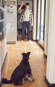 Shot of a man looking at the mess his dog made in the house.