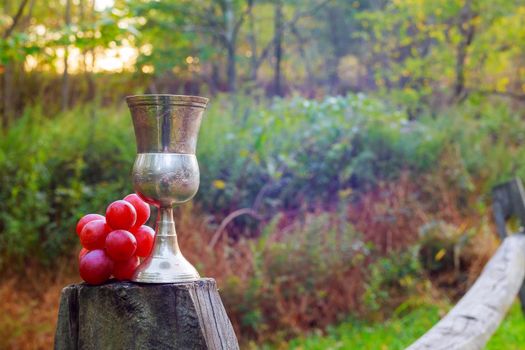 Red wine glass and bunch of grapes on wooden table against vineyard in summer