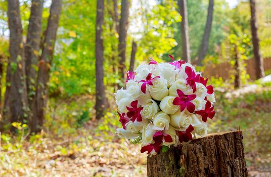 wedding bridal bouquet with white orchids, roses, daisies and red berries