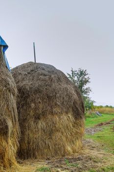 house, haystack in the field, near the forest, in a carpathian village, Ukraine