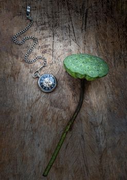 A retro pocket watch and Fresh green lotus seed pods on old wooden board background. Time and Peace conept, Copy space, Selective focus.