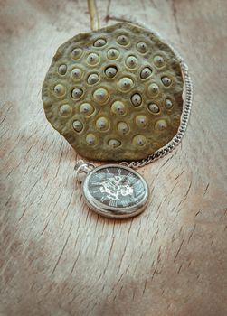 A retro pocket watch and Fresh green lotus seed pods on old wooden board background. Time and Peace conept, Copy space, Selective focus.