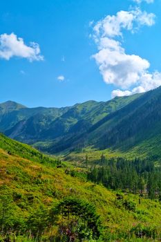 A picturesque green mountain valley on an elephant day. The background of nature