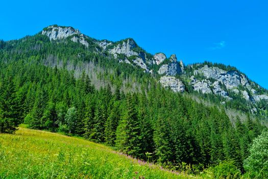 Beautiful scenic view of the green mountains on a sunny day