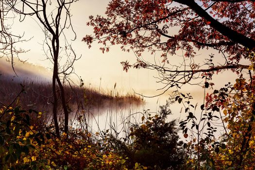 morning fog over river in autumn Autumn morning fog