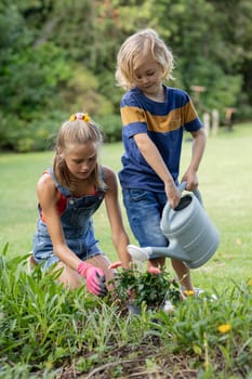 Happy caucasian brother and sister in garden watering plants and gardening together. staying at home in isolation during quarantine lockdown.