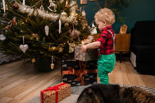 A child holds a gift in his hands. An old Polish tradition of giving gifts during a Christmas feast.