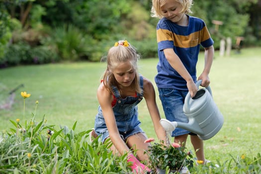 Happy caucasian brother and sister in garden watering plants and gardening together. staying at home in isolation during quarantine lockdown.