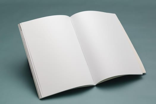 Composition of opened book with blank pages on blue background. reading, writing and copy space concept.