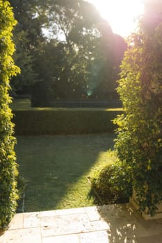 General view of trees and plants in stunning summer garden. beauty in nature and tranquil outdoor retreat