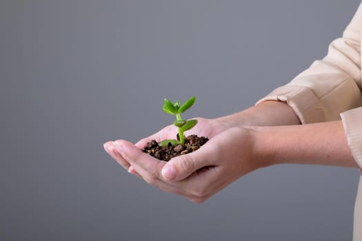 Midsection of caucasian businesswoman holding plant seedling, isolated on grey background. business technology, communication and growth concept.