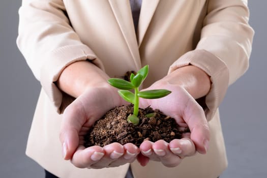 Midsection of caucasian businesswoman holding plant seedling, isolated on grey background. business technology, communication and growth concept.