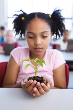 African american girl holding a plant seedling while sitting on her desk in class at school. school and education concept