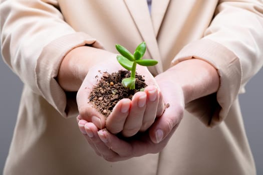 Midsection of caucasian businesswoman holding plant seedling, isolated on grey background. business, technology, communication and growth concept.