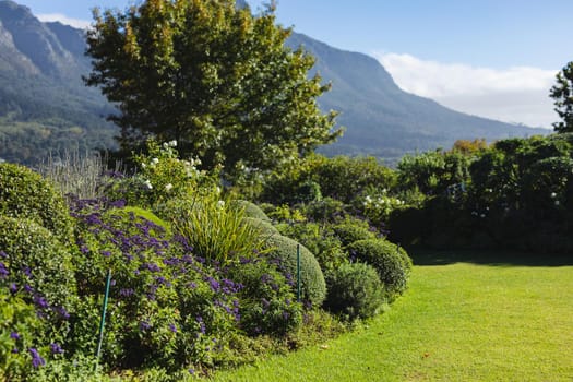 General view of garden with stunning mountains countryside on sunny day. outdoor retreat and holiday concept.