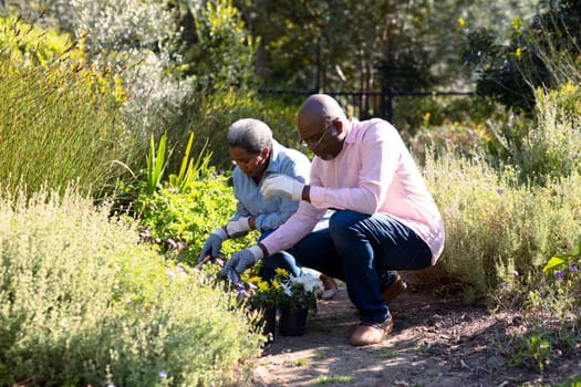 African american senior couple gardening, planting flowers outdoors. retirement lifestyle, spending time at home and garden.