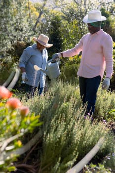 African american senior couple wearing hats, gardening, watering plats outdoors. retirement lifestyle, spending time at home and garden.