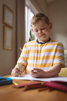 Caucasian boy drawing in his book sitting in the living room at home. childhood and hobby concept