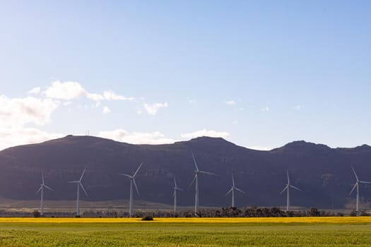 General view of wind turbines in countryside landscape with cloudless sky. environment, sustainability, ecology, renewable energy, global warming and climate change awareness.