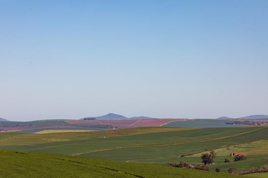 General view of countryside landscape with cloudless sky. environment, sustainability, ecology, renewable energy, global warming and climate change awareness.