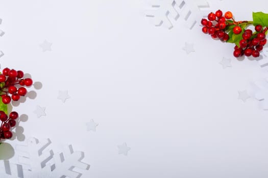 Composition of tree branches with berries and copy space on white background. christmas, tradition and celebration concept.