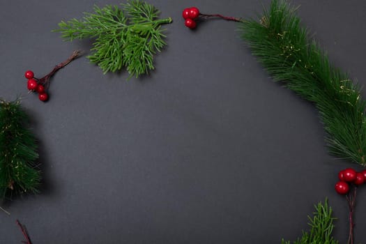 Composition of tree branches with berries and copy space on black background. christmas, tradition and celebration concept.