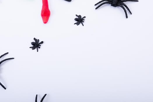 Composition of halloween spiders and sweets with copy space on white background. halloween tradition and celebration concept.