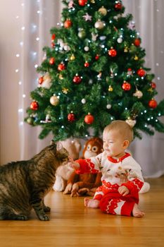 Baby girl in a red-and-white knitted costume is petting a cat in front of a Christmas tree. High quality photo