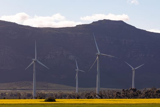 General view of wind turbines in countryside landscape with cloudless sky. environment, sustainability, ecology, renewable energy, global warming and climate change awareness.