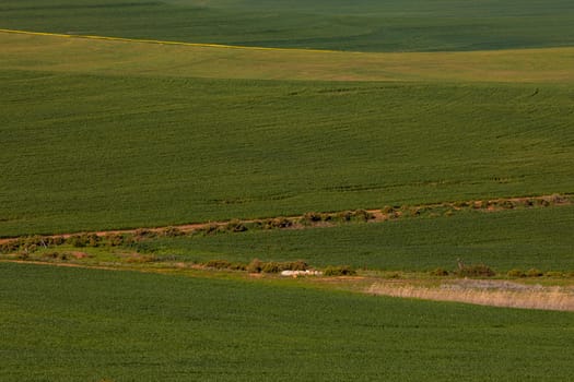 General view of countryside landscape. environment, sustainability, ecology, renewable energy, global warming and climate change awareness.