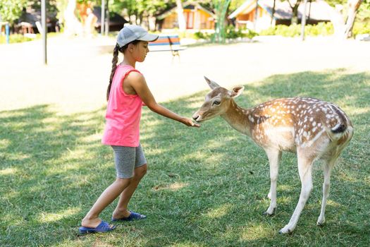 Photo of a young girl feeding deer and hugs him.