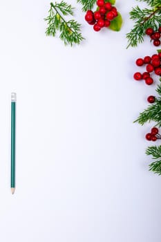 Composition of branches with berries, pencil and copy space on white background. christmas, tradition and celebration concept.