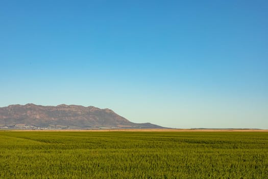 General view of countryside landscape with cloudless sky. environment, sustainability, ecology, renewable energy, global warming and climate change awareness.