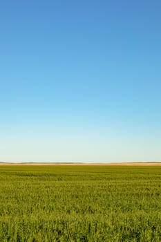General view of countryside landscape with cloudless sky. environment, sustainability, ecology, renewable energy, global warming and climate change awareness.