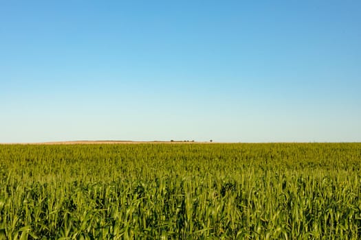 General view of countryside landscape with cloudless sky. environment, sustainability, ecology, renewable energy, global warming and climate change awareness.