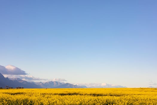 General view of countryside landscape with cloudless sky. environment, sustainability, ecology, renewable energy, global warming and climate change awareness.