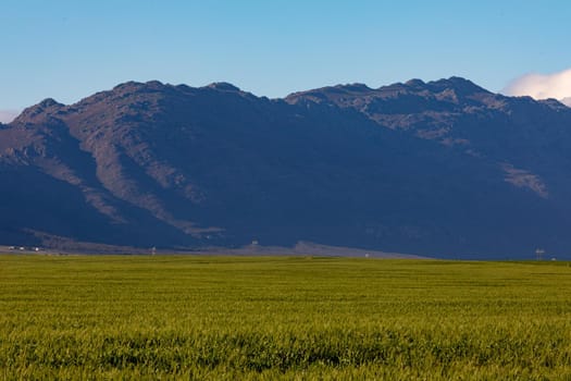 General view of countryside landscape with cloudless sky. environment, sustainability, ecology, renewable energy, global warming and climate change awareness.