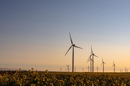 General view of wind turbines in countryside landscape with cloudless sky. environment, sustainability, ecology, renewable energy, global warming and climate change awareness.