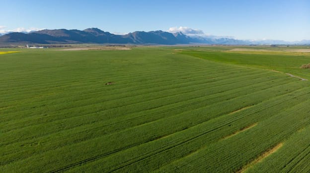 General view of countryside landscape with cloudless sky. environment, sustainability, ecology, renewable energy, global warming and climate change awareness.