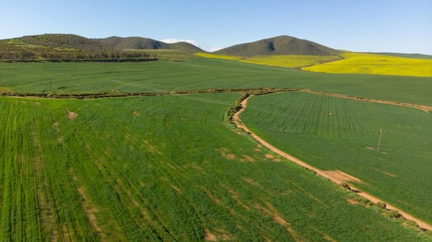 General view of countryside landscape with cloudless sky. environment, sustainability, ecology, renewable energy, global warming and climate change awareness.