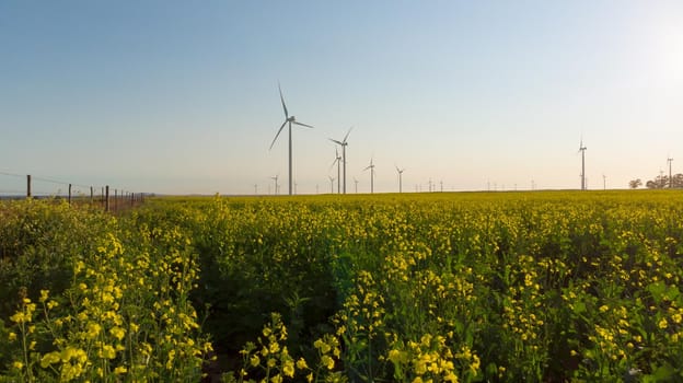 General view of wind turbines in countryside landscape with cloudless sky. environment, sustainability, ecology, renewable energy, global warming and climate change awareness.