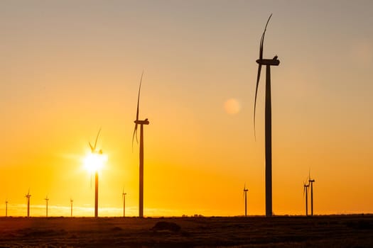 General view of wind turbines in countryside landscape during sunset. environment, sustainability, ecology, renewable energy, global warming and climate change awareness.