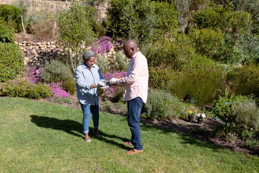 African american senior couple gardening, putting on gloves outdoors. retirement lifestyle, spending time at home and garden.