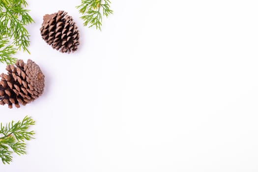 Composition of tree branches with pine cones and copy space on white background. christmas, tradition and celebration concept.