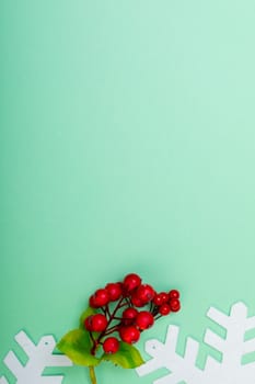 Composition of branches with berries, snowflakes and copy space on green background. christmas, tradition and celebration concept.