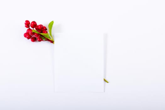 Composition of white card with copy space and branch with berries on white background. christmas, tradition and celebration concept.