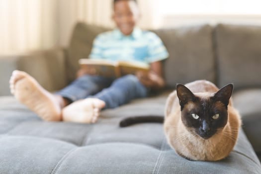 African american boy reading book and sitting on couch with cat in living room. spending time alone at home.