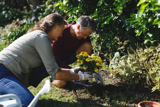 Happy senior caucasian couple gardening together in sunny garden. healthy retirement lifestyle, spending time at home.