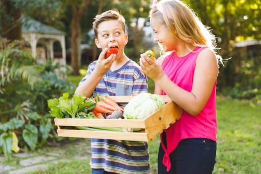 Happy caucasian brother and sister in garden with box of fresh organic vegetables pretending to eat. gardening, self sufficiency and growing home produce.